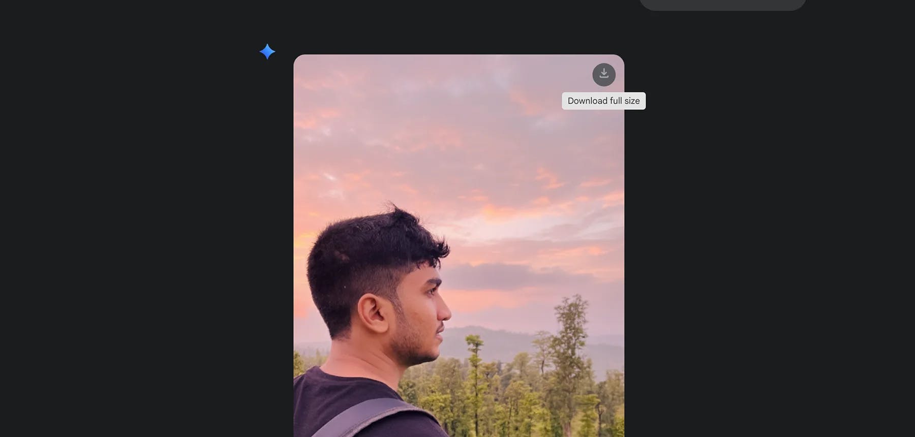 A close-up screenshot of the final image generated by Nano Banana within Gemini 2.5 Pro, featuring a man's profile against a realistic pink sunset sky with a download button visible.
